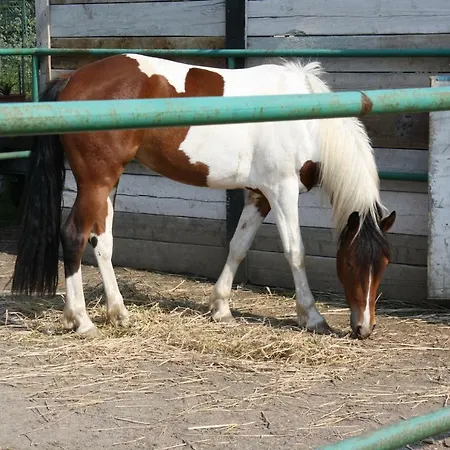 Piccolo Ranch Отель типа 