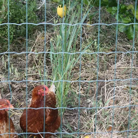 Nocleg ze śniadaniem Piccolo Ranch *